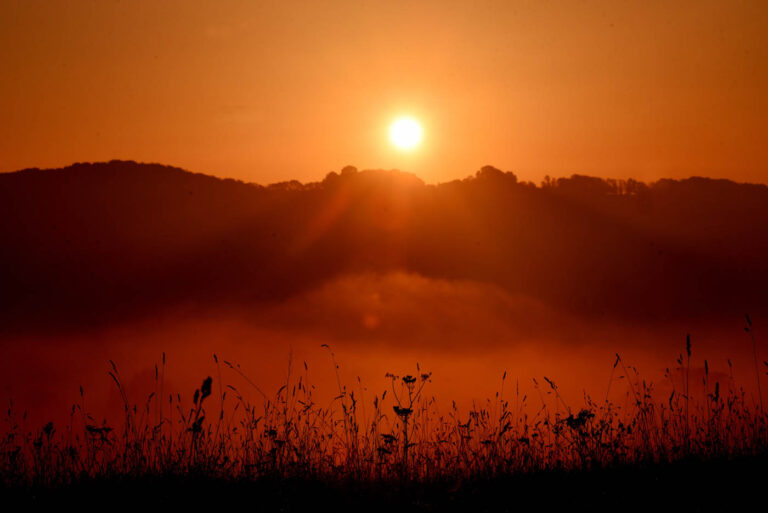 Season of mists and mellow fruitfulness