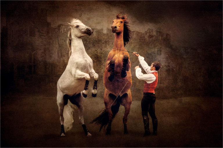 Fabulous winning pictures in Image of the Year competition