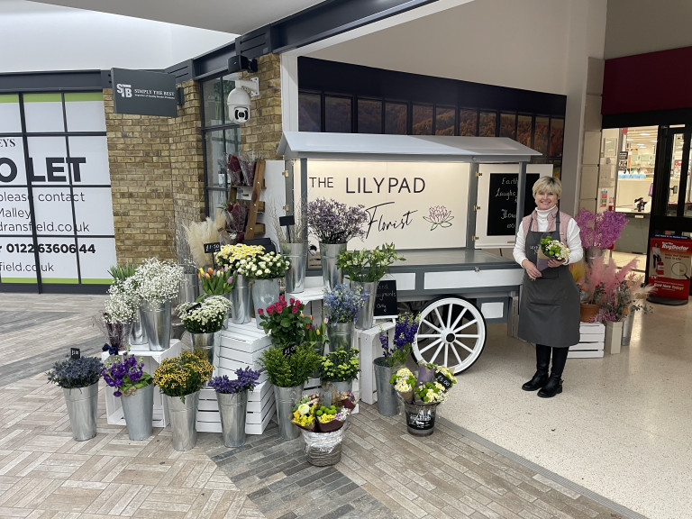 Lily of the Five Valleys: Lily Pad relocate